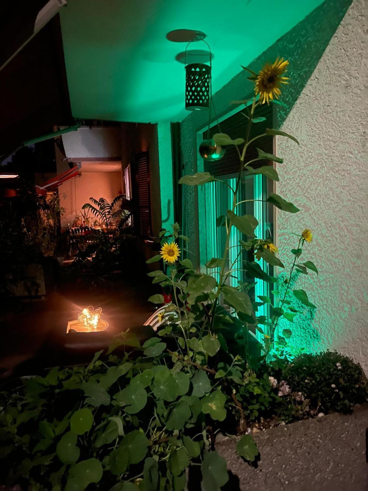 Bellezza In Lorraine Apartment Берн Екстериор снимка